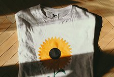 Recent Post